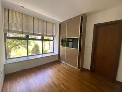 Holland Link (D10), Terrace #618843011